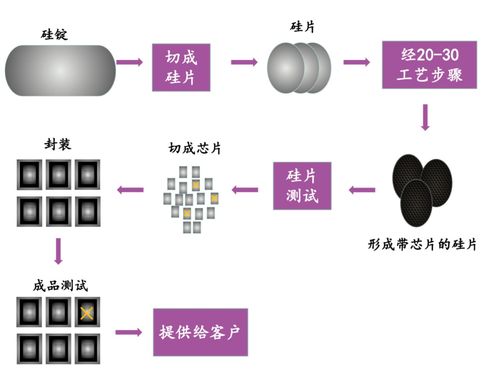 芯片 汽車 新能源 生物醫藥,那些上海關鍵產業還好嗎