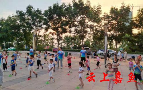 嘉魚(yú)市民休閑新風(fēng)尚 健身運(yùn)動(dòng)與場(chǎng)地設(shè)施經(jīng)營(yíng)共贏